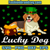 Irish Leprechaun Lucky Dog