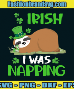 Sloth Irish I Was Napping