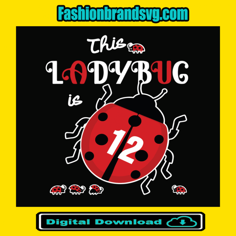 This Lady Bug 12 Years Old Birthday Svg