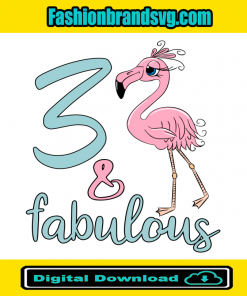 3rd Birthday Girl Flamingo Lover Svg